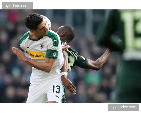 趣味花絮：门兴格拉德巴赫主场一只猫闯入赛场，导致比赛短暂中断。